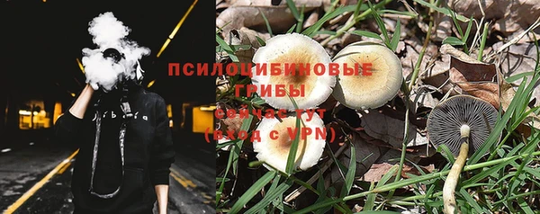 молекула духа Куйбышев